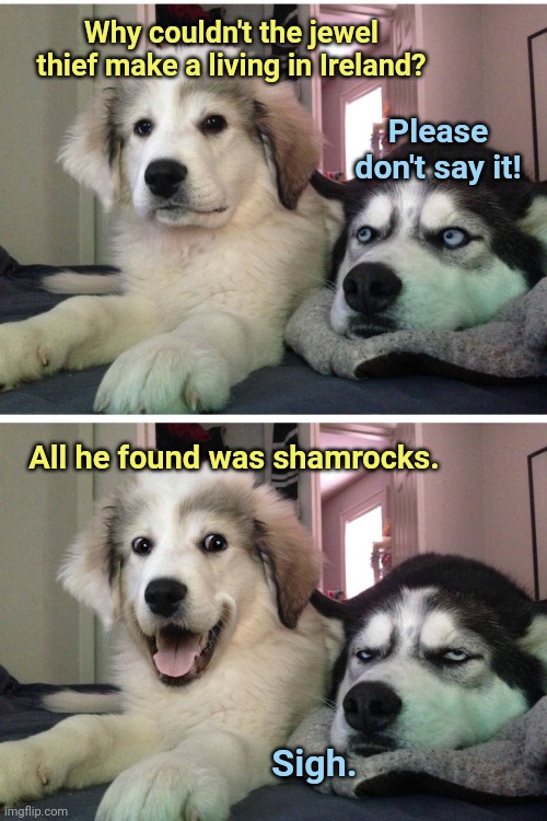 Jewel thief in Ireland | Why couldn't the jewel thief make a living in Ireland? Please don't say it! All he found was shamrocks. Sigh. | image tagged in bad pun dogs,irish,joke,st patrick's day,humor | made w/ Imgflip meme maker