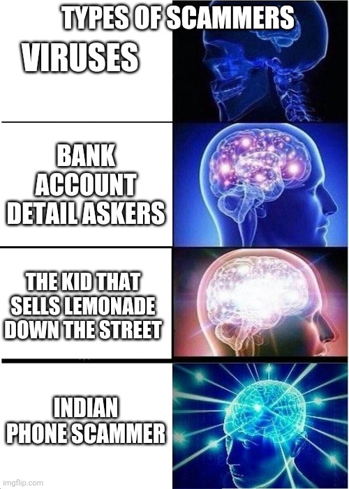Types of scammers | VIRUSES; TYPES OF SCAMMERS; BANK ACCOUNT DETAIL ASKERS; THE KID THAT SELLS LEMONADE DOWN THE STREET; INDIAN PHONE SCAMMER | image tagged in memes,expanding brain | made w/ Imgflip meme maker