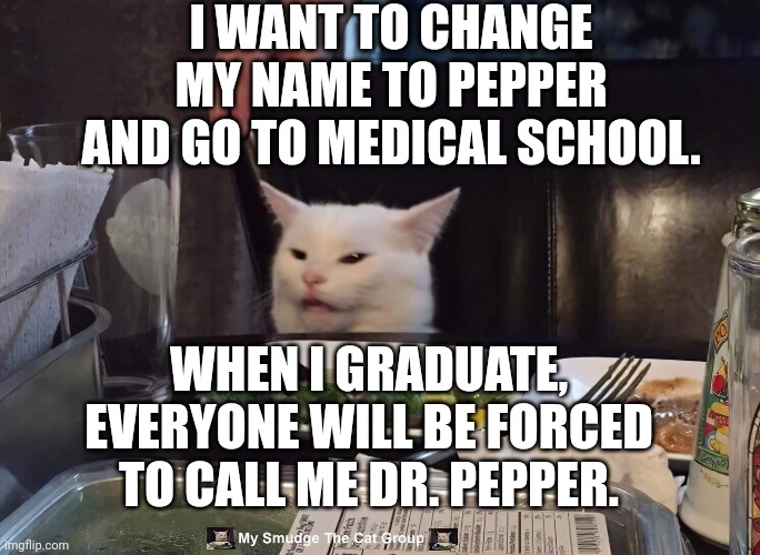 I WANT TO CHANGE MY NAME TO PEPPER AND GO TO MEDICAL SCHOOL. WHEN I GRADUATE, EVERYONE WILL BE FORCED TO CALL ME DR. PEPPER. | image tagged in smudge the cat,smudge | made w/ Imgflip meme maker