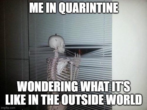 Skeleton Looking Out Window | ME IN QUARINTINE; WONDERING WHAT IT'S LIKE IN THE OUTSIDE WORLD | image tagged in skeleton looking out window | made w/ Imgflip meme maker