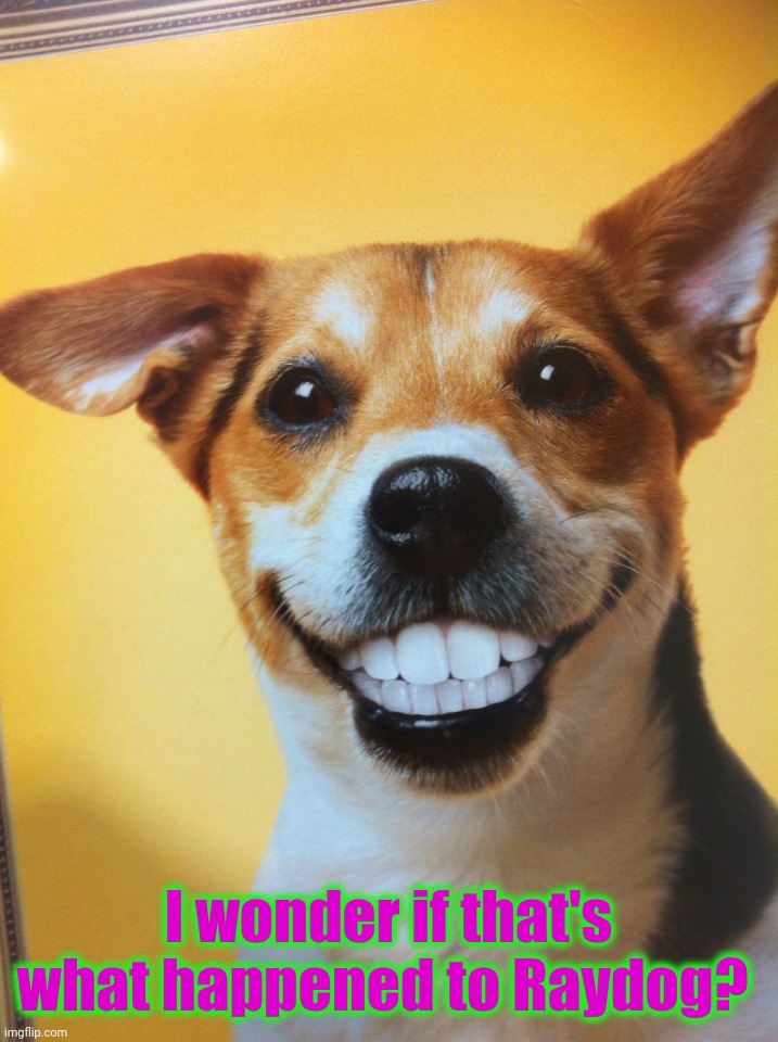 Raydog | I wonder if that's what happened to Raydog? | image tagged in raydog | made w/ Imgflip meme maker