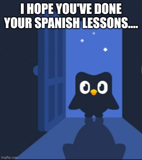 Duolingo bird | I HOPE YOU'VE DONE YOUR SPANISH LESSONS.... | image tagged in duolingo bird | made w/ Imgflip meme maker