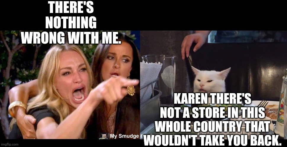  THERE'S NOTHING WRONG WITH ME. KAREN THERE'S NOT A STORE IN THIS WHOLE COUNTRY THAT WOULDN'T TAKE YOU BACK. | image tagged in smudge the cat,smudge | made w/ Imgflip meme maker