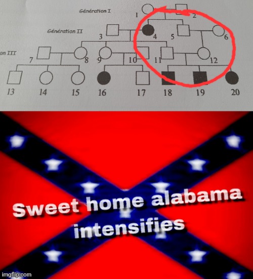 image tagged in sweet home alabama | made w/ Imgflip meme maker