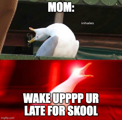 Inhaling Seagull  | MOM: WAKE UPPPP UR LATE FOR SKOOL | image tagged in inhaling seagull | made w/ Imgflip meme maker