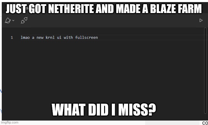 fullscreen executor | JUST GOT NETHERITE AND MADE A BLAZE FARM; WHAT DID I MISS? | image tagged in fullscreen executor | made w/ Imgflip meme maker