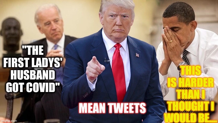 PinocchiJoe | "THE FIRST LADYS' HUSBAND GOT COVID"; THIS IS HARDER THAN I THOUGHT I WOULD BE.... MEAN TWEETS | image tagged in trump obama biden,puppet,control,you can't defeat me,freedom | made w/ Imgflip meme maker