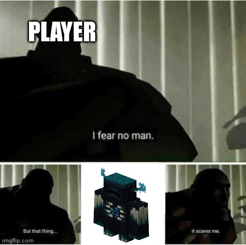 every minecraft player fear | PLAYER | image tagged in i fear no man | made w/ Imgflip meme maker