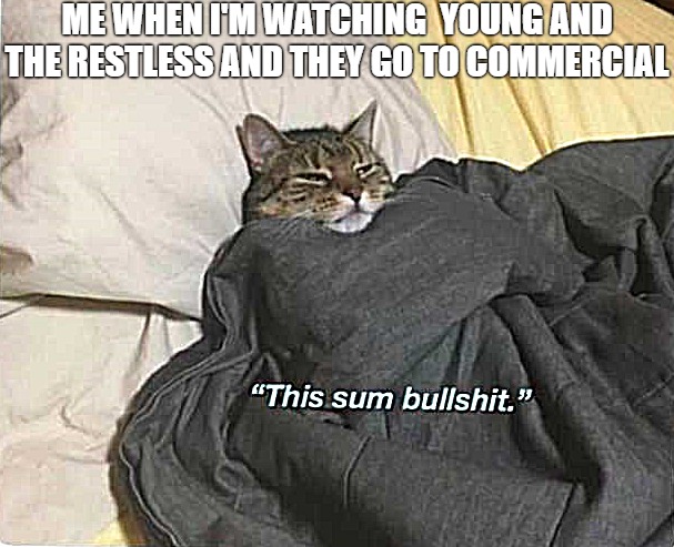 messing with my emotions | ME WHEN I'M WATCHING  YOUNG AND THE RESTLESS AND THEY GO TO COMMERCIAL | image tagged in this sum bullshit cat 2 | made w/ Imgflip meme maker