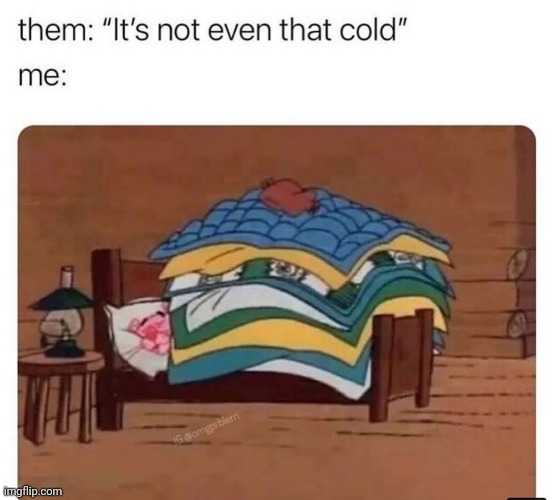 It's very cold | image tagged in cold | made w/ Imgflip meme maker