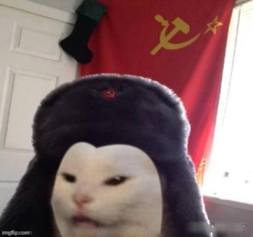 RUSSIAN CAT | image tagged in russian cat | made w/ Imgflip meme maker