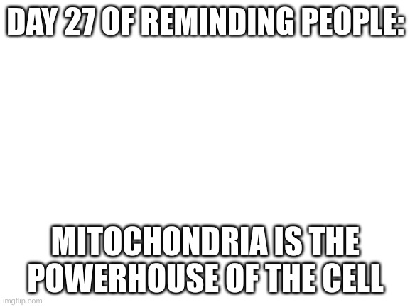 day 27 | DAY 27 OF REMINDING PEOPLE:; MITOCHONDRIA IS THE POWERHOUSE OF THE CELL | image tagged in blank white template | made w/ Imgflip meme maker