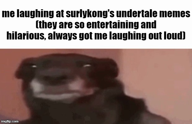 me laughing at surlykong's undertale memes
(they are so entertaining and hilarious, always got me laughing out loud) | made w/ Imgflip meme maker
