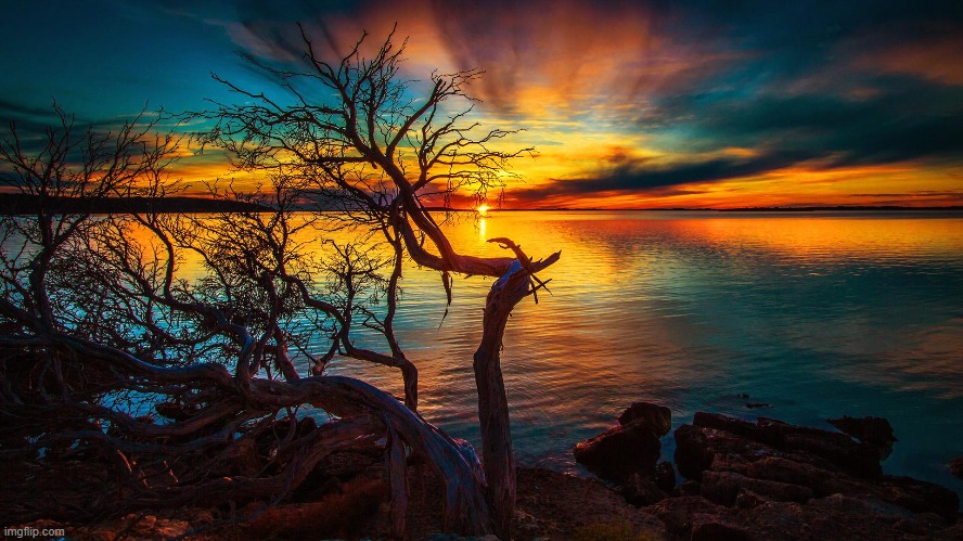 image tagged in awesome | made w/ Imgflip meme maker