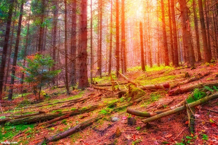 image tagged in awesome | made w/ Imgflip meme maker