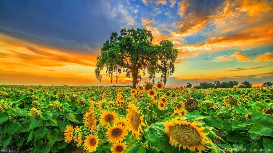 image tagged in awesome | made w/ Imgflip meme maker