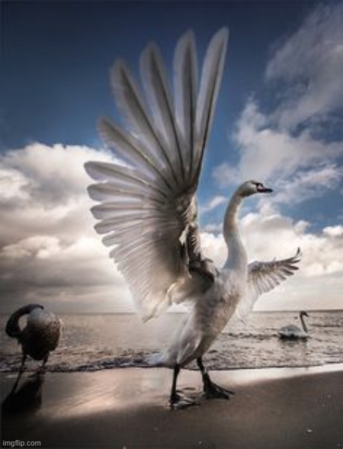 image tagged in awesome | made w/ Imgflip meme maker