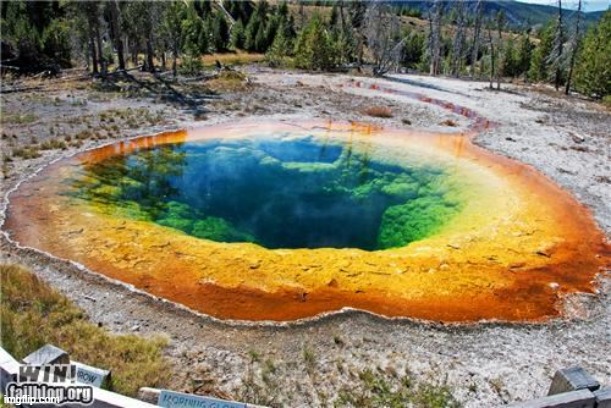 image tagged in awesome | made w/ Imgflip meme maker