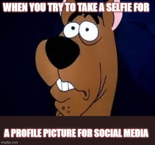 Profile Picture for Social Media | WHEN YOU TRY TO TAKE A SELFIE FOR; A PROFILE PICTURE FOR SOCIAL MEDIA | image tagged in scooby doo surprised | made w/ Imgflip meme maker