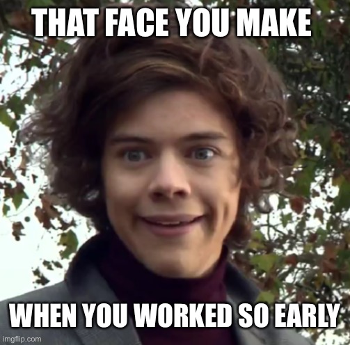 Working early | THAT FACE YOU MAKE; WHEN YOU WORKED SO EARLY | image tagged in harry funny face,work | made w/ Imgflip meme maker