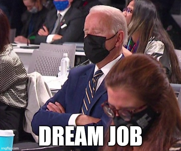 DREAM JOB | image tagged in politics,joe biden,president,potus,asleep,lol | made w/ Imgflip meme maker