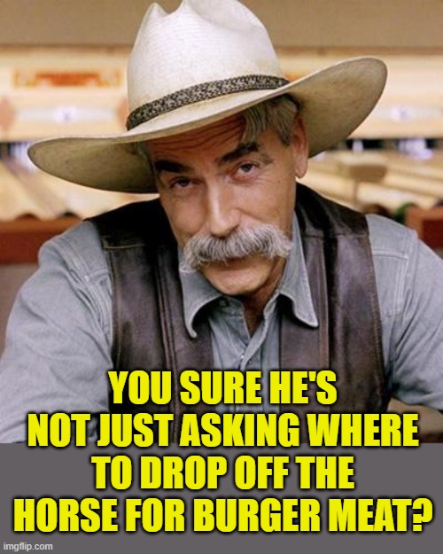 SARCASM COWBOY | YOU SURE HE'S NOT JUST ASKING WHERE TO DROP OFF THE HORSE FOR BURGER MEAT? | image tagged in sarcasm cowboy | made w/ Imgflip meme maker