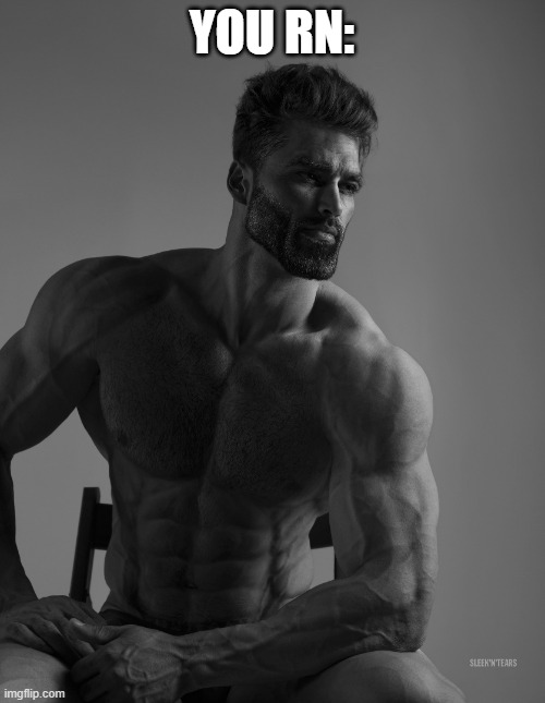 Giga Chad | YOU RN: | image tagged in giga chad | made w/ Imgflip meme maker