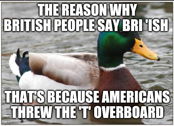 Actual Advice Mallard | THE REASON WHY BRITISH PEOPLE SAY BRI 'ISH; THAT'S BECAUSE AMERICANS THREW THE 'T' OVERBOARD | image tagged in memes,actual advice mallard | made w/ Imgflip meme maker