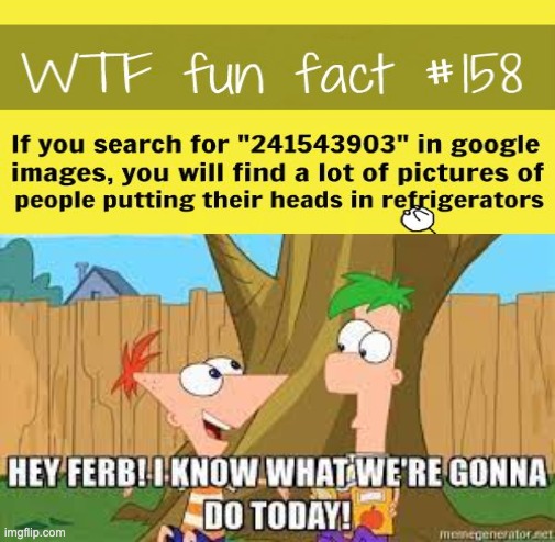 This is true | image tagged in hey ferb i know what we're gonna do today,241543903,memes,phineas and ferb | made w/ Imgflip meme maker
