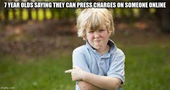 you-cant-press-charges-on-someone-online-charges-are-meant-to-be