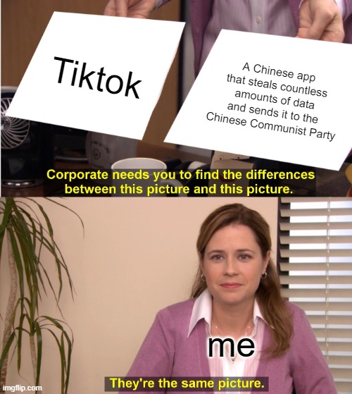 They're The Same Picture | Tiktok; A Chinese app that steals countless amounts of data and sends it to the Chinese Communist Party; me | image tagged in memes,they're the same picture | made w/ Imgflip meme maker