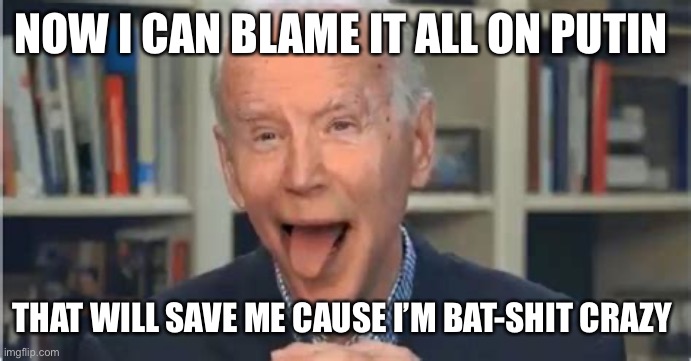 Barshit crazy Biden | NOW I CAN BLAME IT ALL ON PUTIN; THAT WILL SAVE ME CAUSE I’M BAT-SHIT CRAZY | image tagged in batshit biden,fun,meme,upvote,fry | made w/ Imgflip meme maker