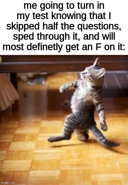 proud |  me going to turn in my test knowing that I skipped half the questions, sped through it, and will most definetly get an F on it: | image tagged in memes,cool cat stroll | made w/ Imgflip meme maker