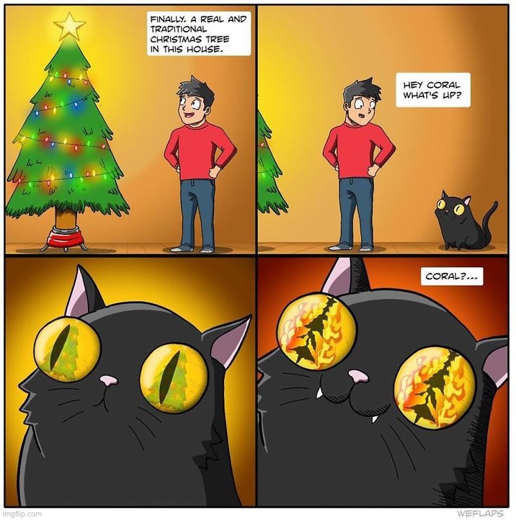 image tagged in comics/cartoons | made w/ Imgflip meme maker