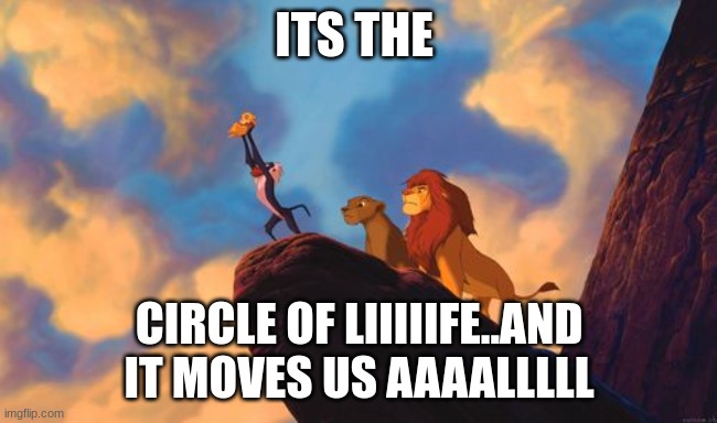 circle of life | ITS THE CIRCLE OF LIIIIIFE..AND IT MOVES US AAAALLLLL | image tagged in circle of life | made w/ Imgflip meme maker