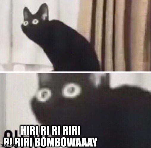 Oh no cat | HIRI RI RI RIRI RI RIRI BOMBOWAAAY | image tagged in oh no cat | made w/ Imgflip meme maker