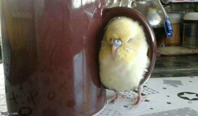 he sleep | made w/ Imgflip meme maker