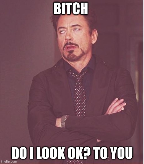 Face You Make Robert Downey Jr Meme | BITCH; DO I LOOK OK? TO YOU | image tagged in memes,face you make robert downey jr | made w/ Imgflip meme maker