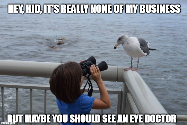 Eye Doctor | HEY, KID, IT'S REALLY NONE OF MY BUSINESS; BUT MAYBE YOU SHOULD SEE AN EYE DOCTOR | image tagged in meme animal bird eye doctor | made w/ Imgflip meme maker