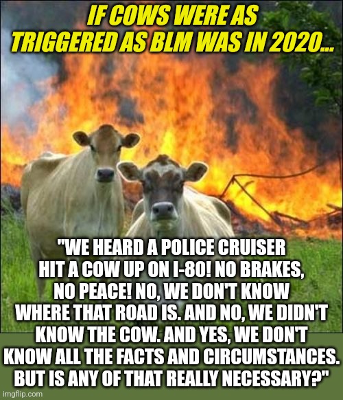 Know what cannon fodder means? Because the govoner of your blue state certainly does. | IF COWS WERE AS TRIGGERED AS BLM WAS IN 2020... "WE HEARD A POLICE CRUISER HIT A COW UP ON I-80! NO BRAKES, NO PEACE! NO, WE DON'T KNOW WHERE THAT ROAD IS. AND NO, WE DIDN'T KNOW THE COW. AND YES, WE DON'T KNOW ALL THE FACTS AND CIRCUMSTANCES. BUT IS ANY OF THAT REALLY NECESSARY?" | image tagged in evil cows,riots,blm,expectation vs reality,manipulation | made w/ Imgflip meme maker