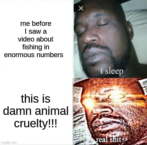 fishing = good or bad? | me before I saw a video about fishing in enormous numbers; this is damn animal cruelty!!! | image tagged in memes,sleeping shaq | made w/ Imgflip meme maker