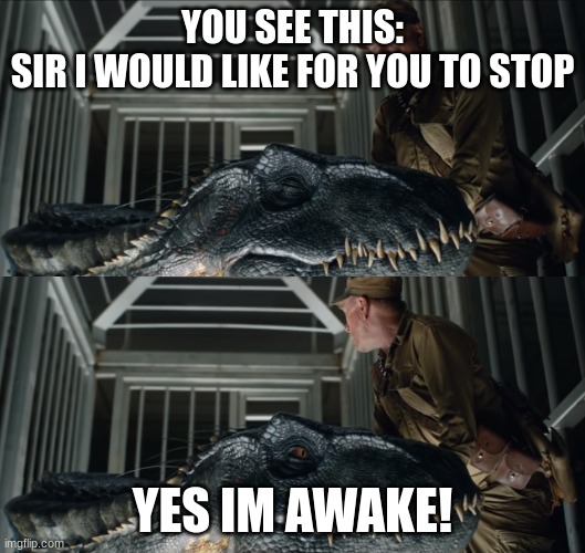 Indoraptor | YOU SEE THIS:
SIR I WOULD LIKE FOR YOU TO STOP; YES IM AWAKE! | image tagged in indoraptor | made w/ Imgflip meme maker