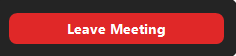 Leave Zoom Meeting Blank Meme Template