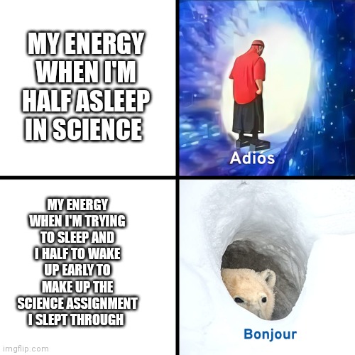 Adios Bonjour | MY ENERGY WHEN I'M HALF ASLEEP IN SCIENCE; MY ENERGY WHEN I'M TRYING TO SLEEP AND I HALF TO WAKE UP EARLY TO MAKE UP THE SCIENCE ASSIGNMENT I SLEPT THROUGH | image tagged in adios bonjour | made w/ Imgflip meme maker