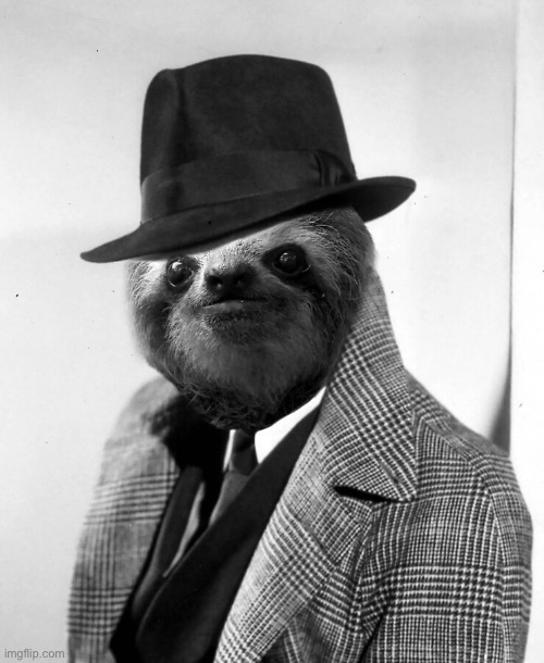 Sloth gentleman | image tagged in sloth gentleman | made w/ Imgflip meme maker