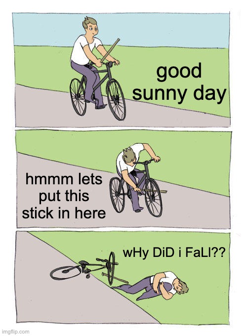 Bike Fall Meme | good sunny day; hmmm lets put this stick in here; wHy DiD i FaLl?? | image tagged in memes,bike fall | made w/ Imgflip meme maker