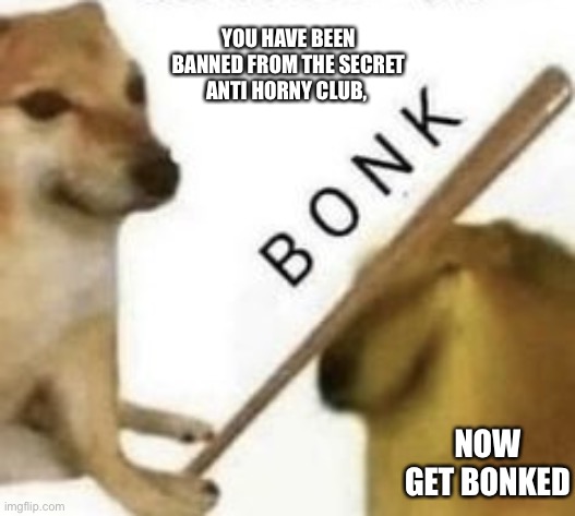 Bonk | YOU HAVE BEEN BANNED FROM THE SECRET ANTI HORNY CLUB, NOW GET BONKED | image tagged in bonk | made w/ Imgflip meme maker
