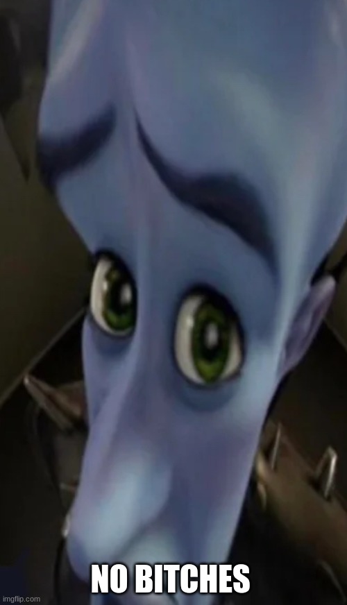 Megamind peeking | NO BITCHES | image tagged in no bitches | made w/ Imgflip meme maker