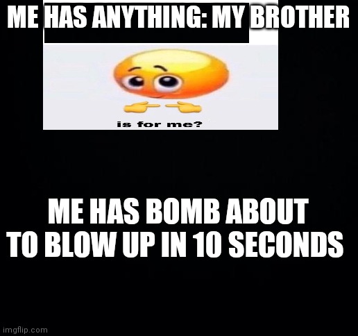 ME HAS ANYTHING: MY BROTHER; ME HAS BOMB ABOUT TO BLOW UP IN 10 SECONDS | image tagged in blank white template | made w/ Imgflip meme maker
