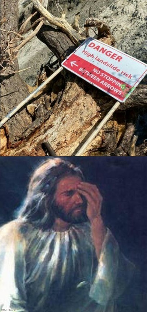 Such a wreck | image tagged in jesus facepalm,you had one job,memes,meme,branches,branch | made w/ Imgflip meme maker